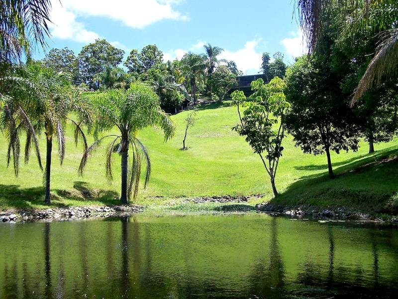 367 Tallebudgera Connection Road, Tallebudgera QLD 4228