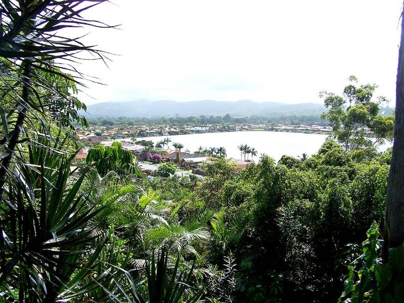 59 Angelica Street, Elanora QLD 4221