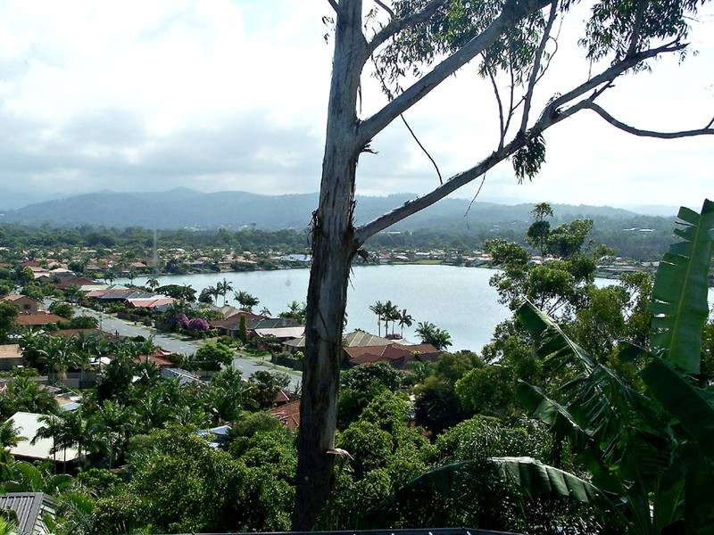 59 Angelica Street, Elanora QLD 4221