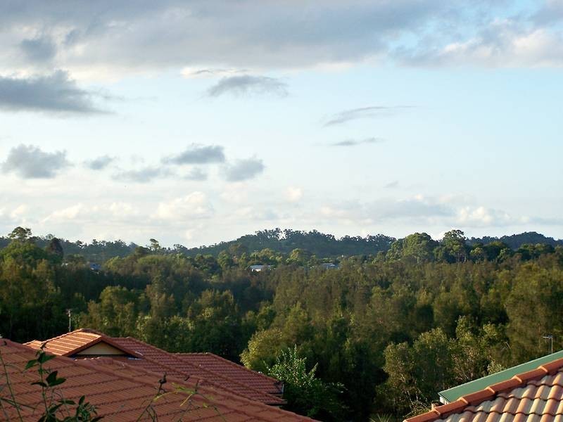24 Tipuana Drive, Elanora QLD 4221