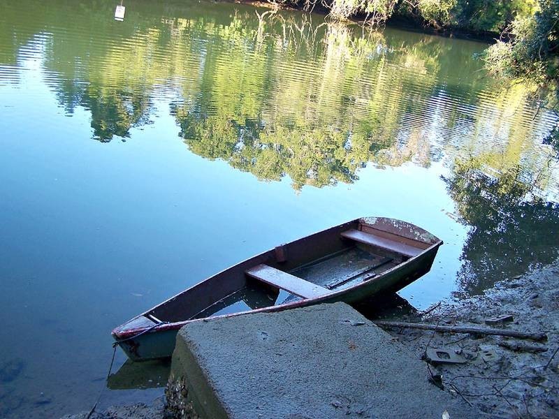 8 Tierney Drive, Currumbin Waters QLD 4223