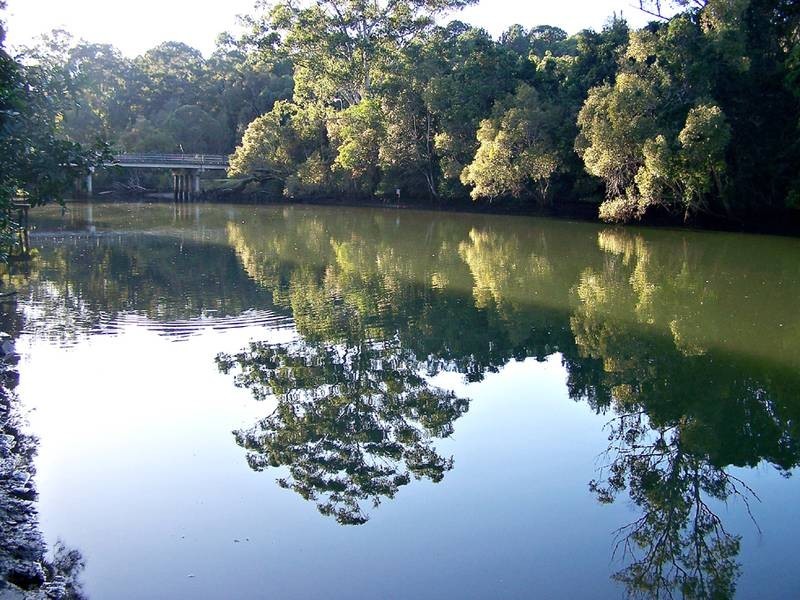 8 Tierney Drive, Currumbin Waters QLD 4223