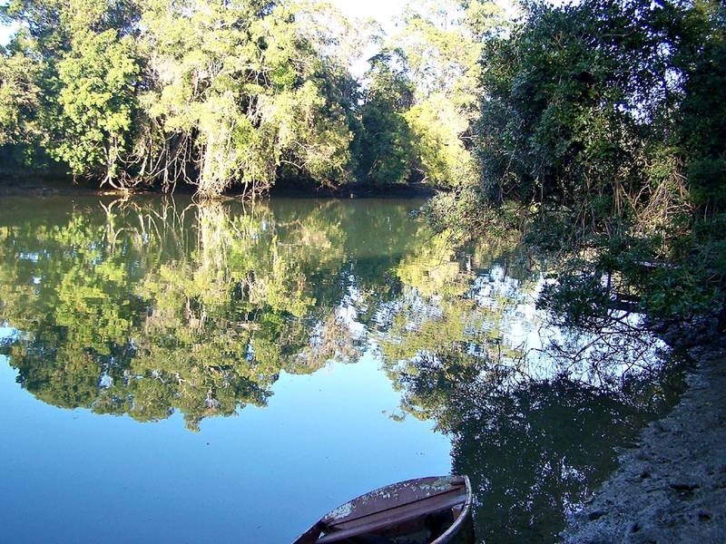 8 Tierney Drive, Currumbin Waters QLD 4223