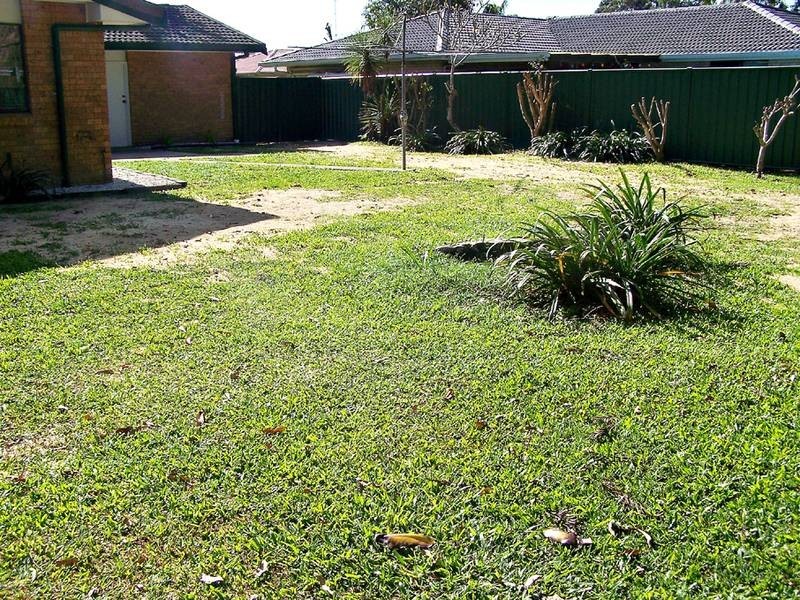 12 Drumfish Drive, Currumbin Waters QLD 4223