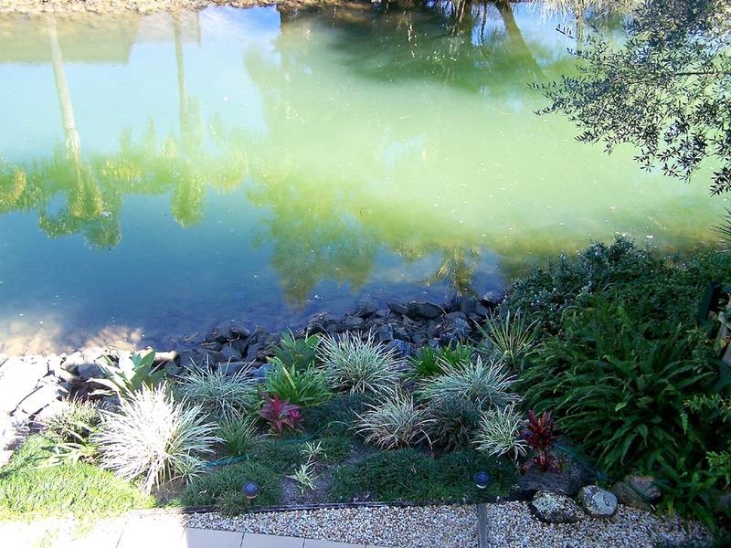 57/92 Guineas Creek Road, Currumbin Waters QLD 4223