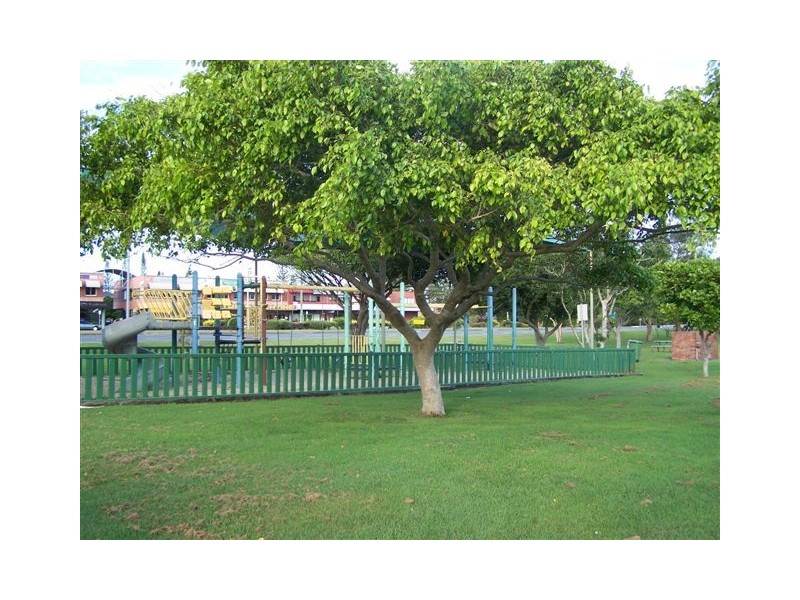 5/496 Coolangatta Road, Tugun QLD 4224