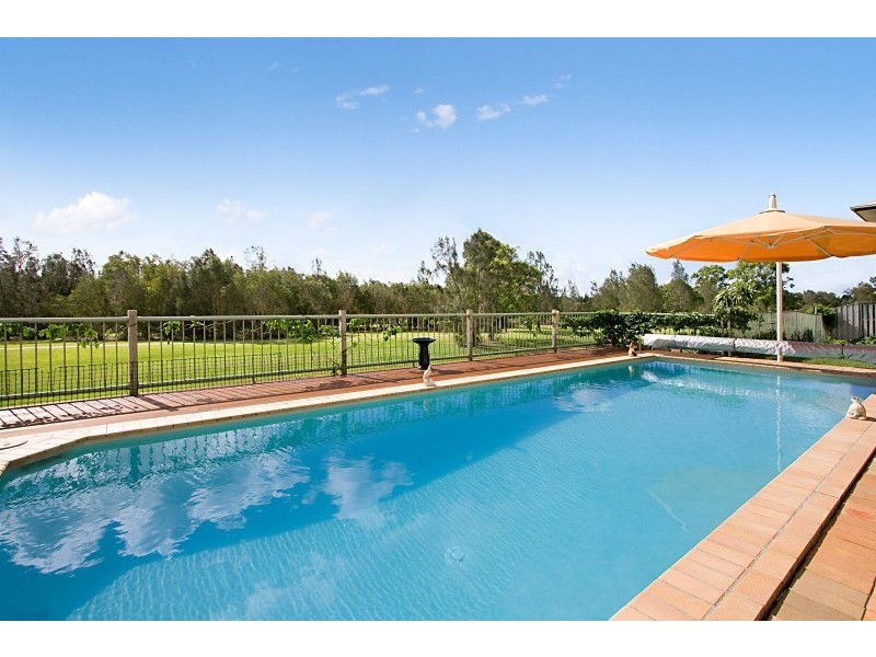 17 Tussock Crescent, Elanora QLD 4221