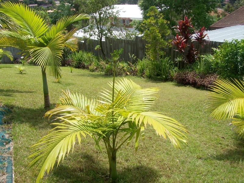 4 Hovea Court, Elanora QLD 4221