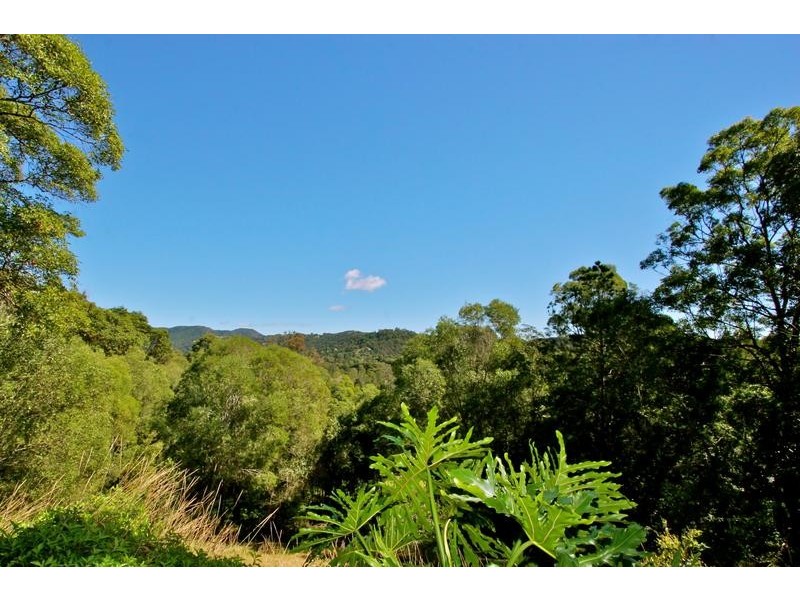 39 Bourke Lodge Drive, Currumbin Valley QLD 4223