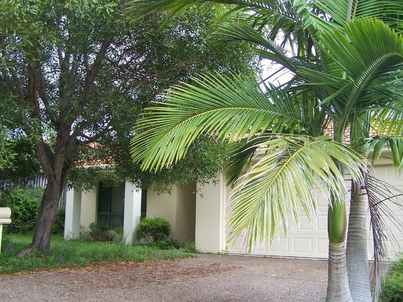 7 Leopard Avenue, Elanora QLD 4221