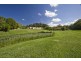 45 Dungogie Drive, Tallebudgera QLD 4228