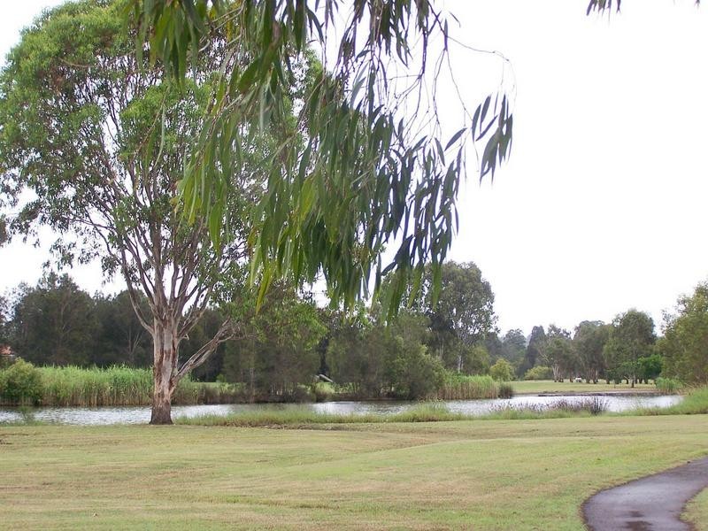 55 Casuarina Drive, Elanora QLD 4221