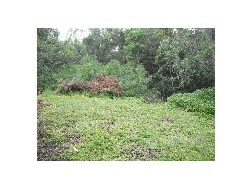 12 Forest Drive, Elanora QLD 4221