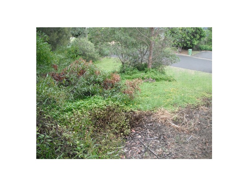 12 Forest Drive, Elanora QLD 4221