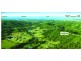 639 Currumbin Creek Road, Currumbin Valley QLD 4223
