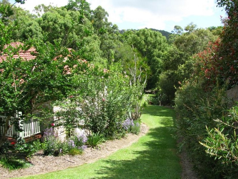 91 Golden Valley Road, Tallebudgera Valley QLD 4228