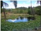 30 Tuesday Drive, Tallebudgera Valley QLD 4228