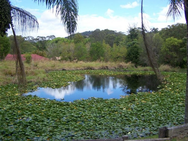 30 Tuesday Drive, Tallebudgera Valley QLD 4228