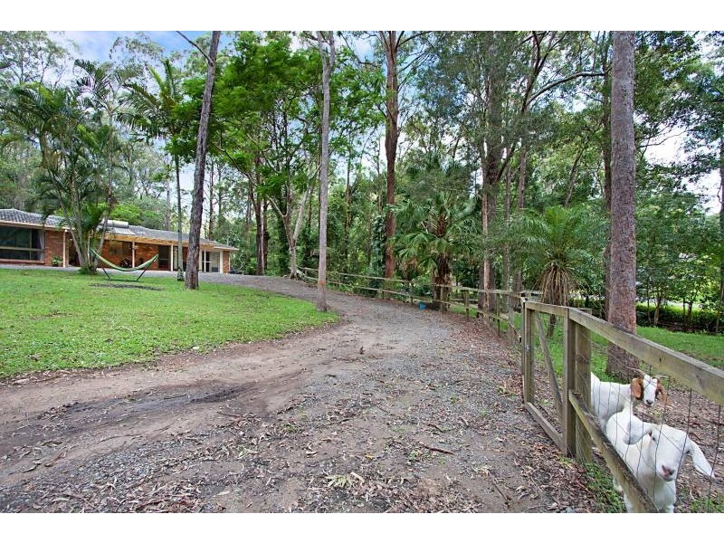 1 Jedda Street, Tallebudgera QLD 4228
