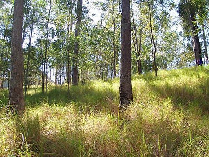 56 Buckingham Way, Elanora QLD 4221