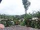 25 Forest Drive, Elanora QLD 4221