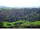489 Trees Road, Tallebudgera QLD 4228