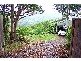 489 Trees Road, Tallebudgera QLD 4228