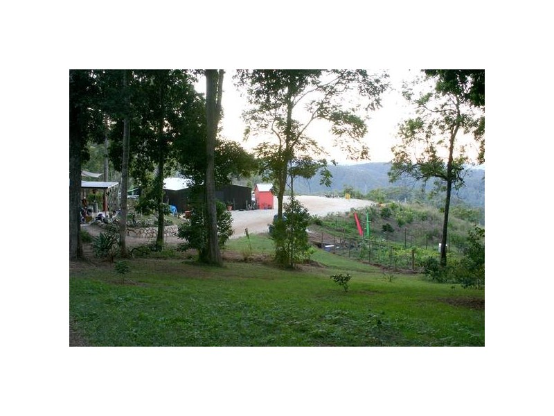 740 Trees Road, Tallebudgera Valley QLD 4228