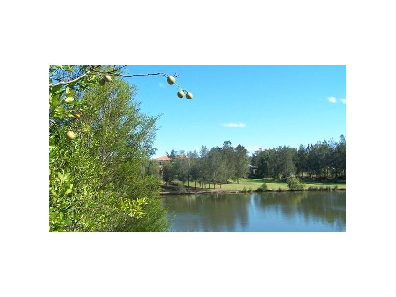 Baumea Court, Elanora QLD 4221