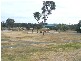 Silverglade Drive, Elanora QLD 4221