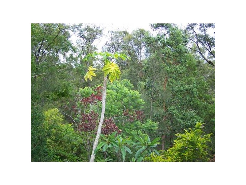 32 Beaumont Court, Currumbin Waters QLD 4223