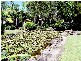 3/56 Guineas Creek Road, Elanora QLD 4221
