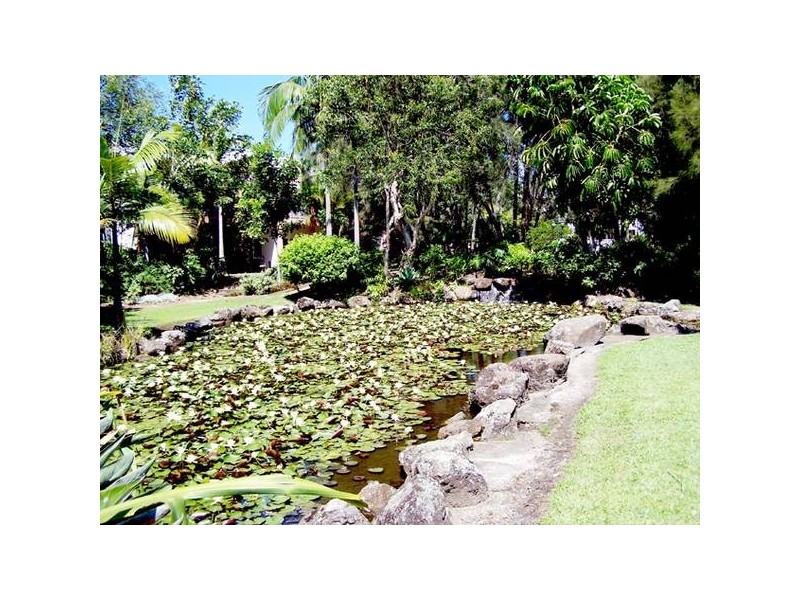 3/56 Guineas Creek Road, Elanora QLD 4221