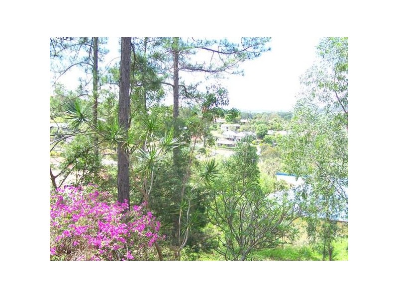 11 Chidlow Court, Elanora QLD 4221