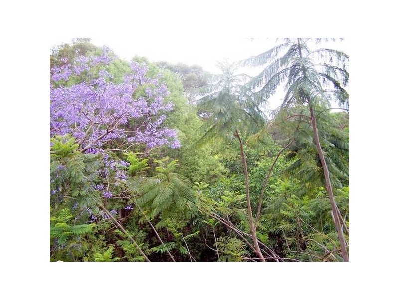 21 Lansell Avenue, Currumbin QLD 4223