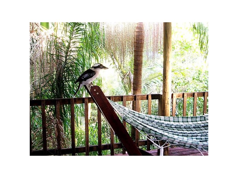 12 Lindwall Place, Currumbin Valley QLD 4223