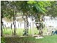 14 Baumea Court, Elanora QLD 4221
