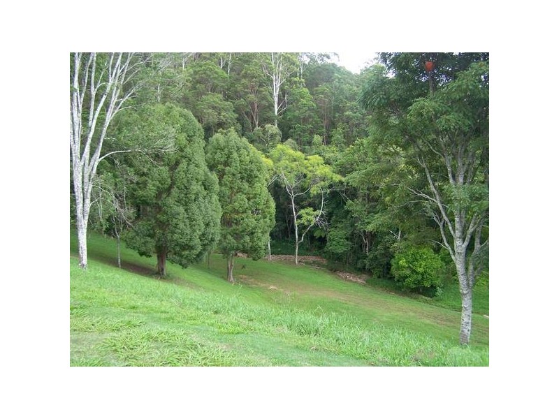 270a Syndicate Road, Tallebudgera QLD 4228