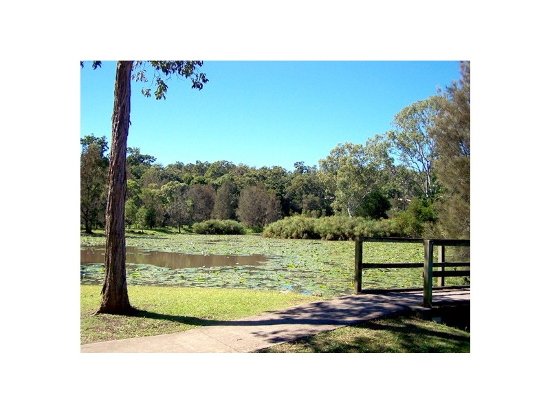 35 Hibertia Street, Elanora QLD 4221