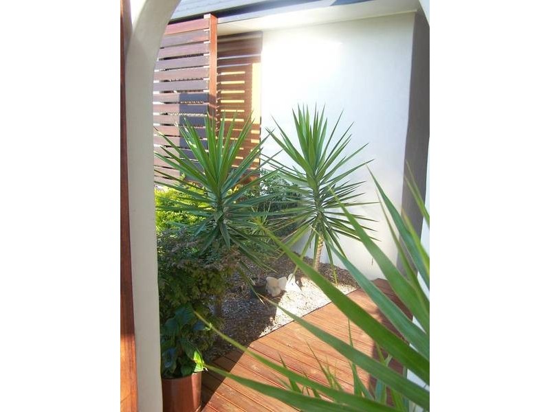 22 Eucalypt Street, Palm Beach QLD 4221