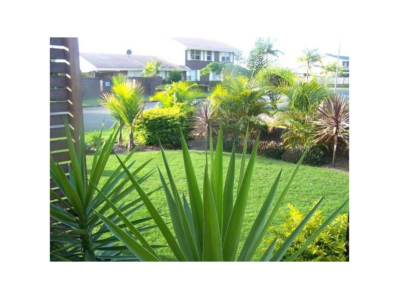 22 Eucalypt Street, Palm Beach QLD 4221