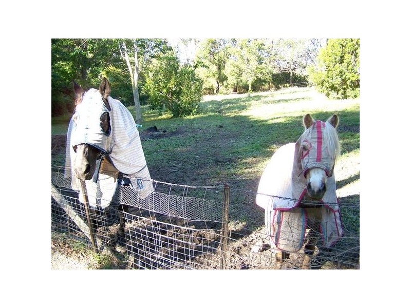 62 Marika Way, Currumbin Waters QLD 4223