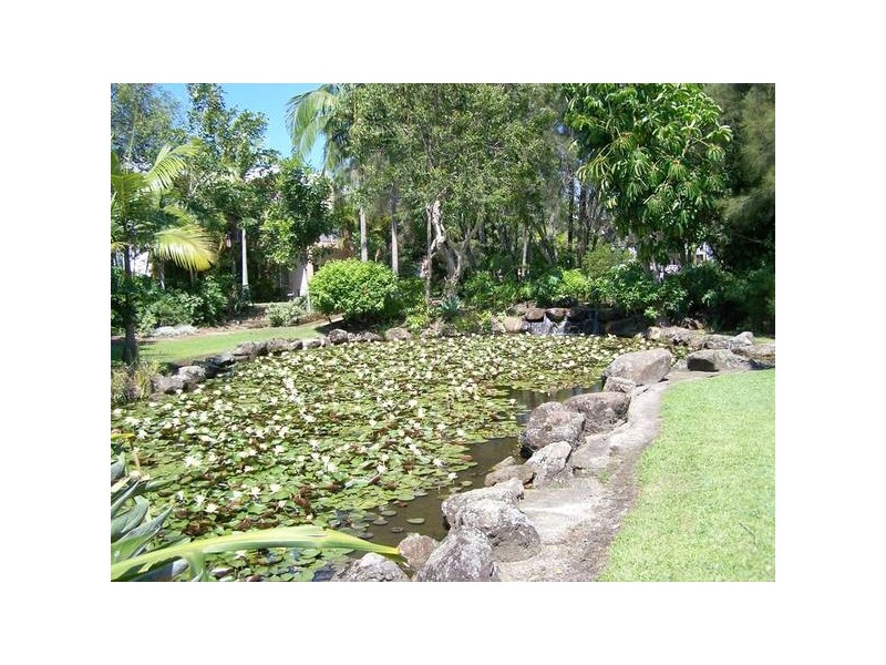 23/56 Guineas Creek Road, Currumbin Waters QLD 4223