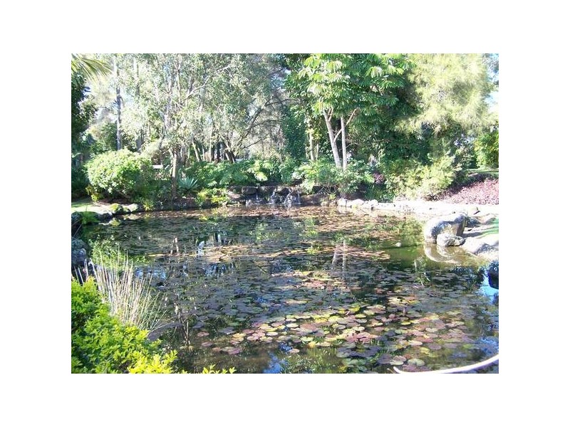 23/56 Guineas Creek Road, Currumbin Waters QLD 4223