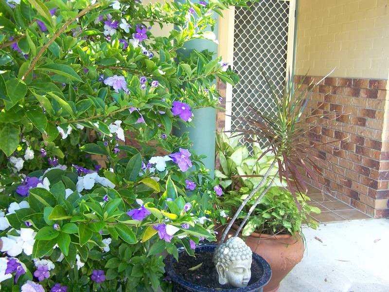 9/15 Simpsons Road, Elanora QLD 4221