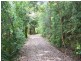 1481 Currumbin Creek Road, Currumbin Valley QLD 4223