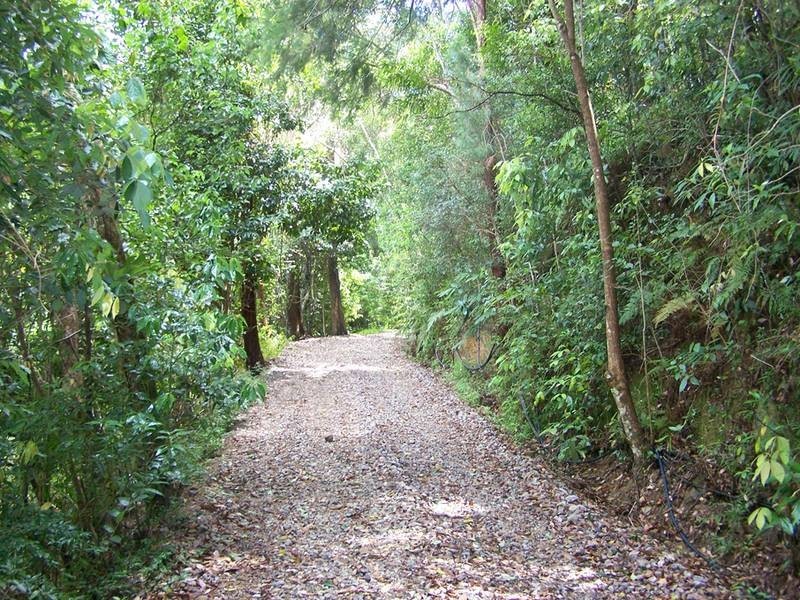 1481 Currumbin Creek Road, Currumbin Valley QLD 4223