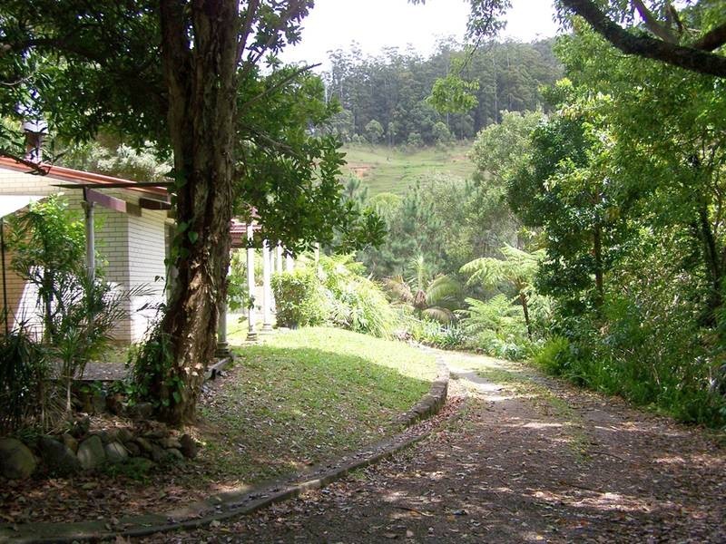 1481 Currumbin Creek Road, Currumbin Valley QLD 4223