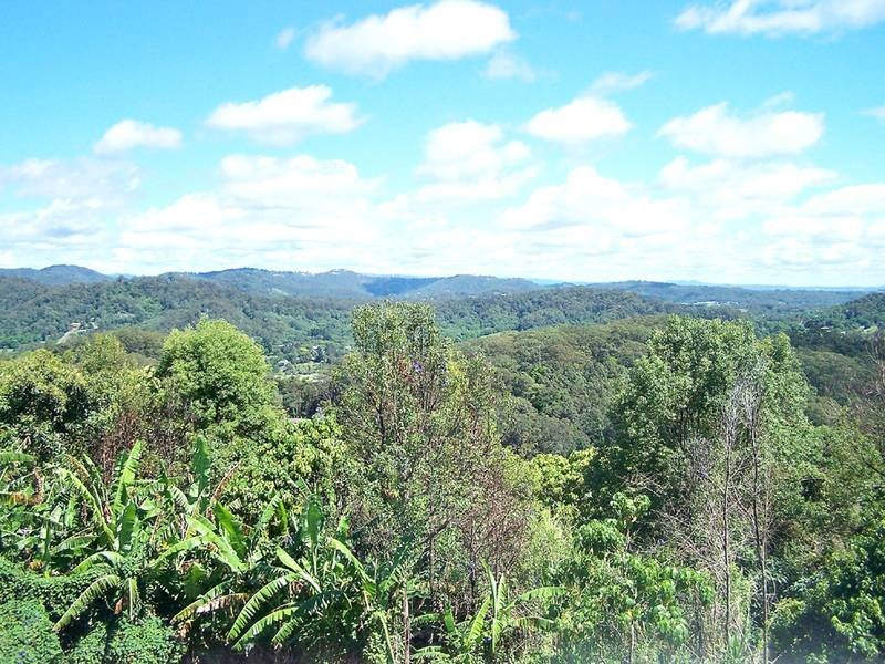 398 Piggabean Road, Currumbin Valley QLD 4223