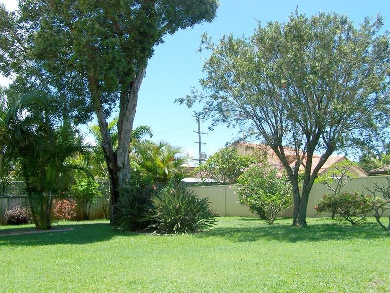 6 Celtis Court, Palm Beach QLD 4221